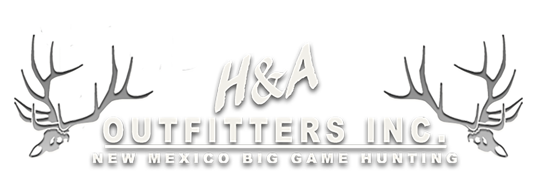 H&A Outfitters, Inc.