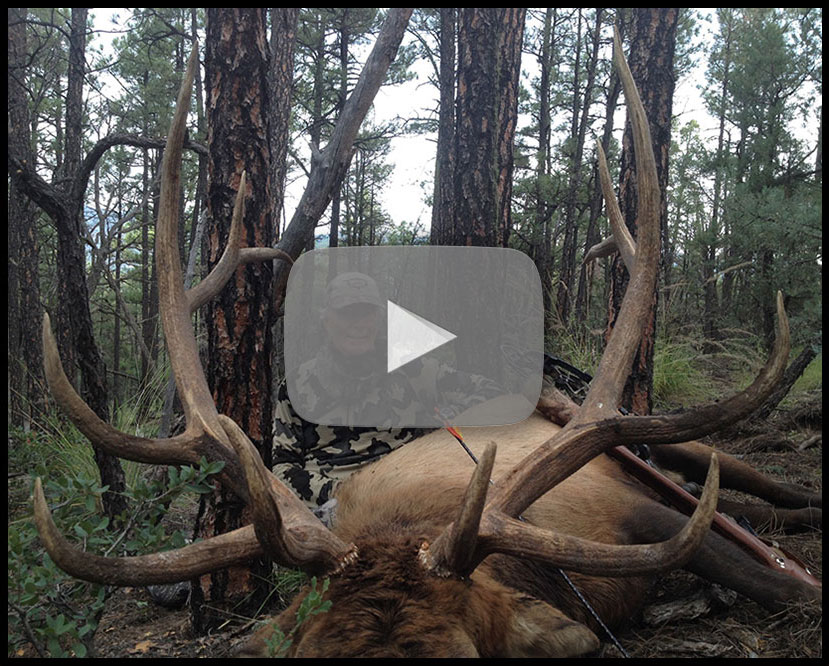 New Mexico Elk Hunting with H&A Outfitters, Inc. Hunting Application Service