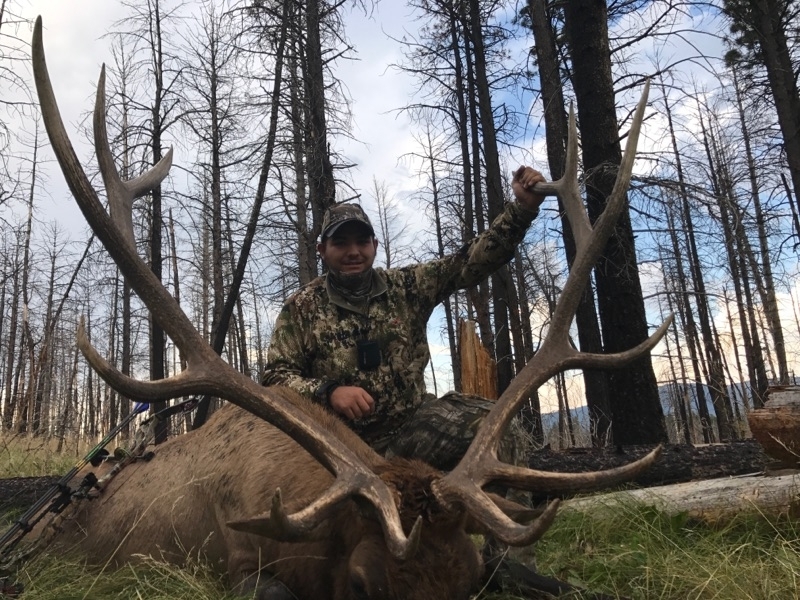 2017 New Mexico Elk Hunting Season