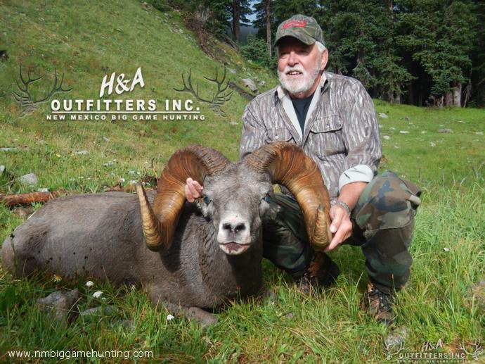 Sheep Hunts Photo