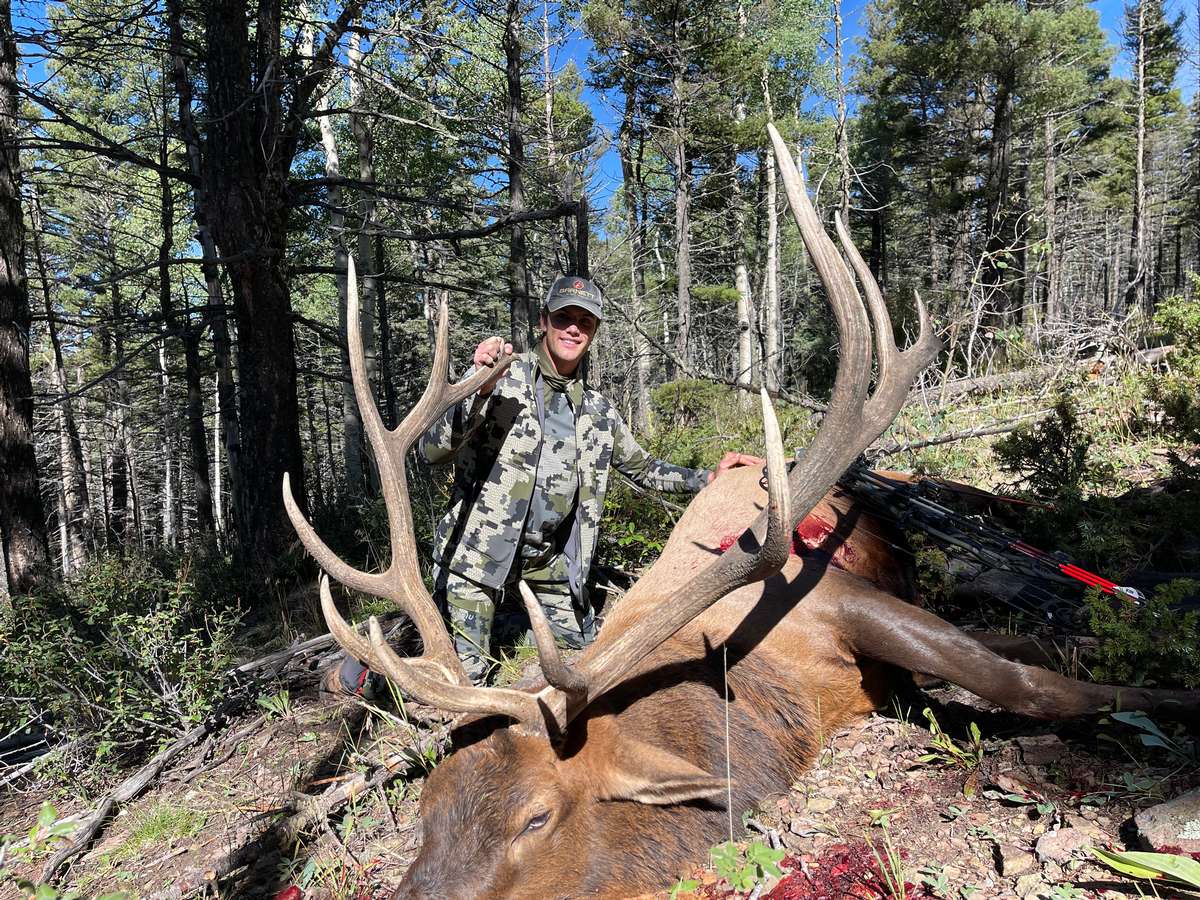Our New Mexico archery elk hunts