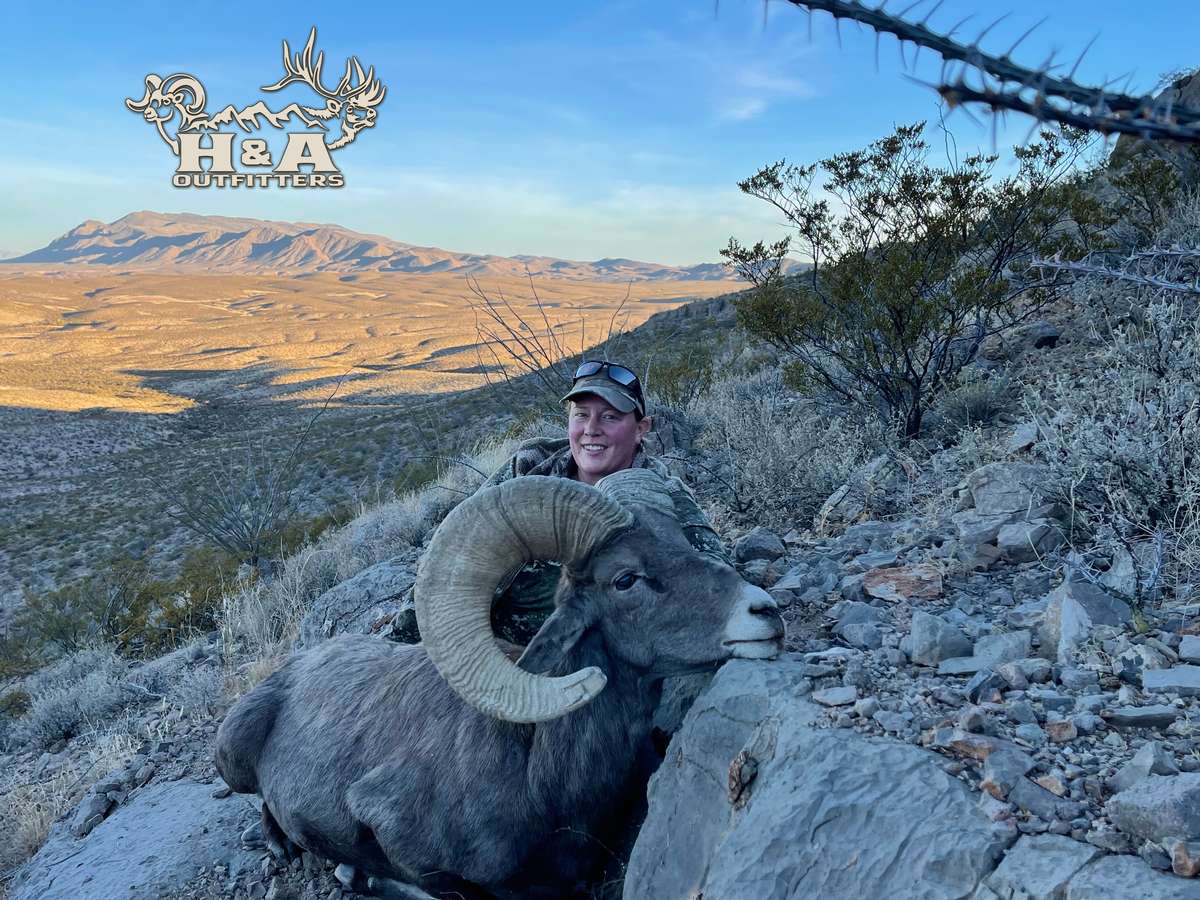 Sheep Hunting Methods