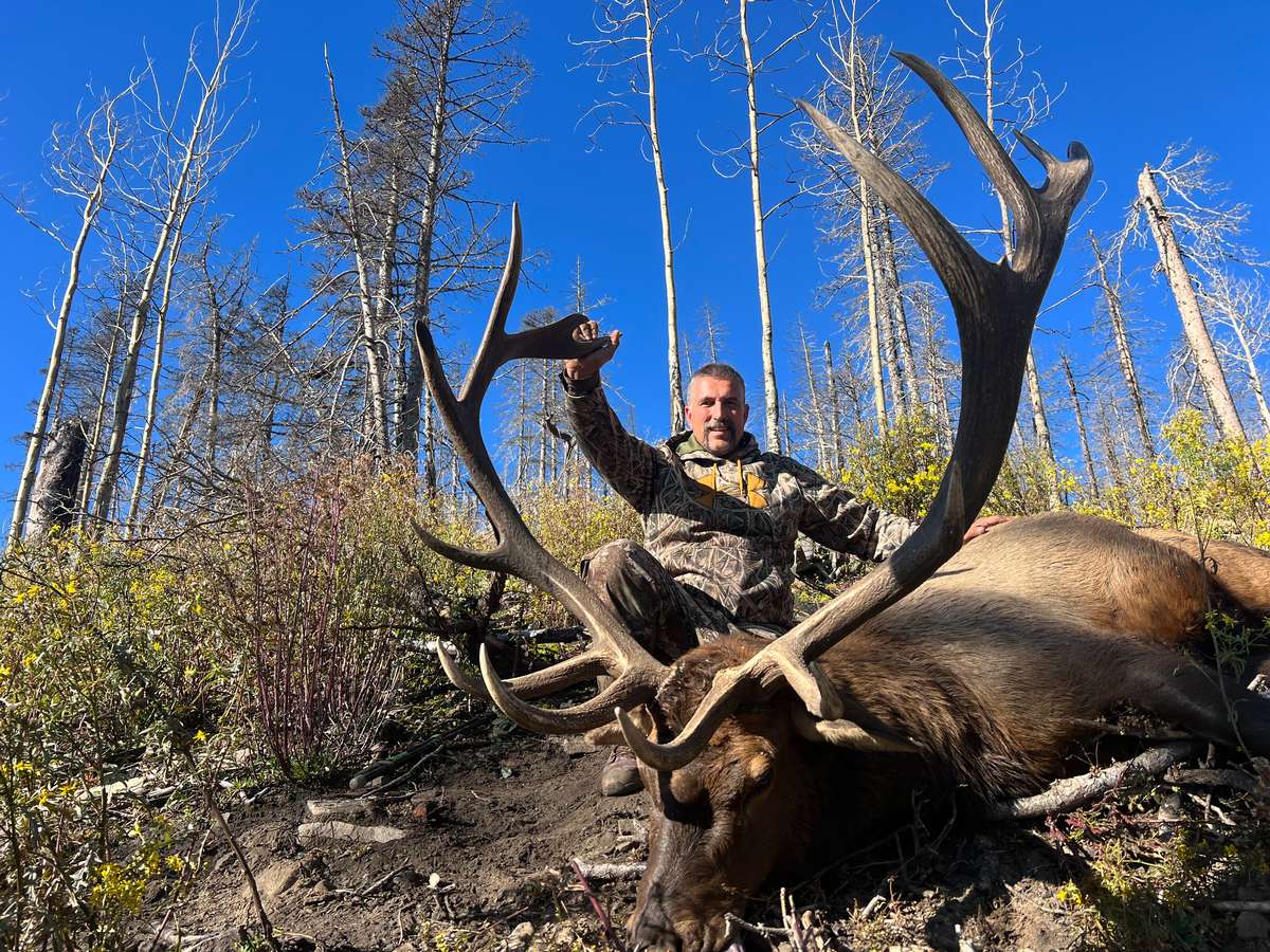 rifle elk hunting