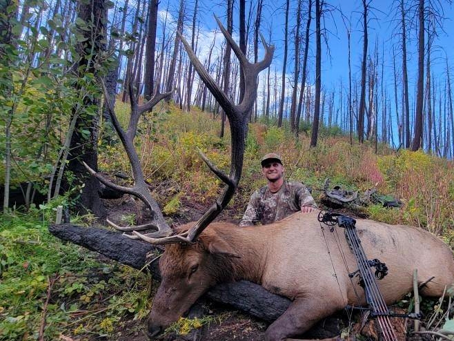 Guided Archery Elk Hunts