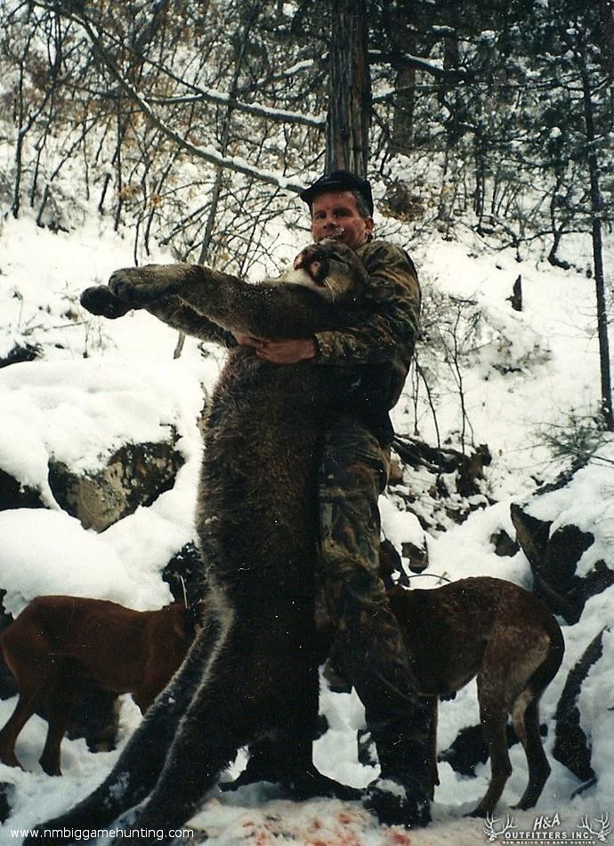 Mountain Lion Hunts Photo