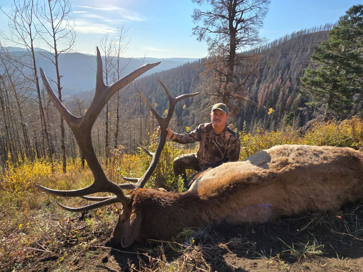 How to Secure Your Elk Hunt