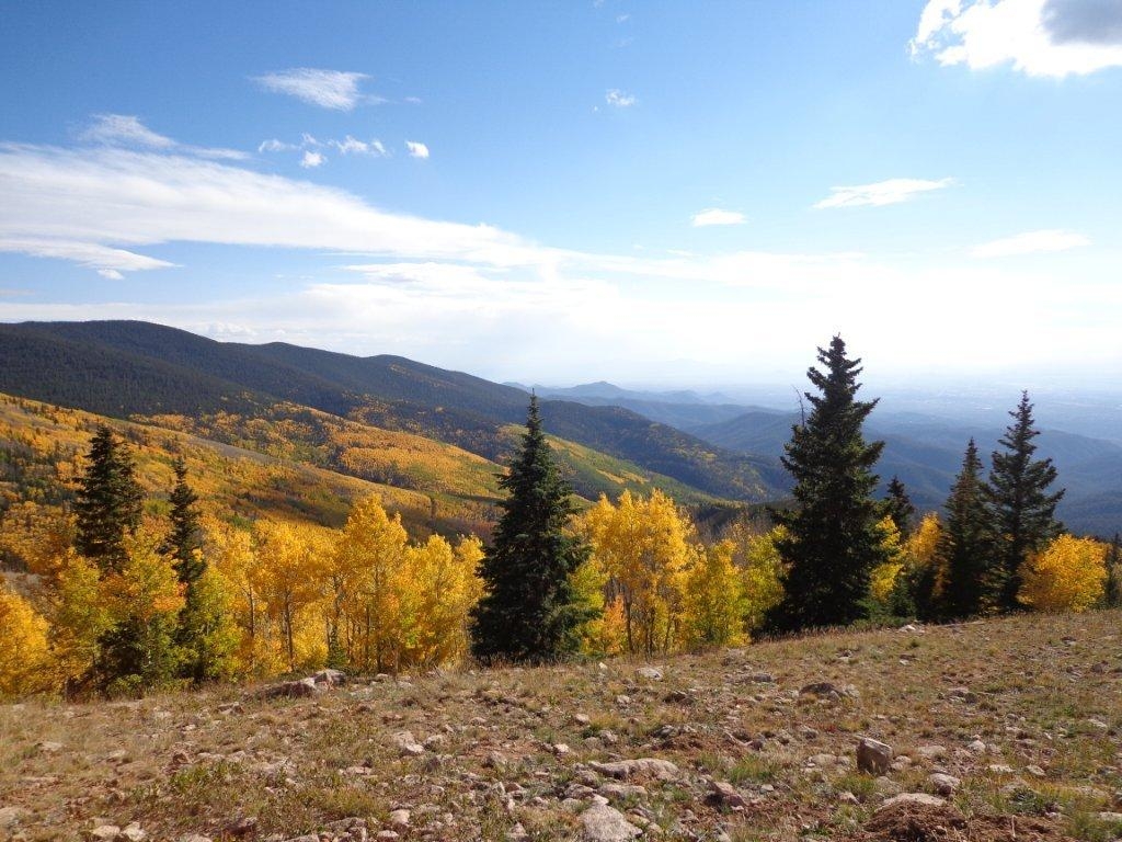 National Forest