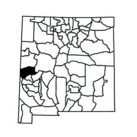 Unit 15