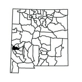 Unit 16A